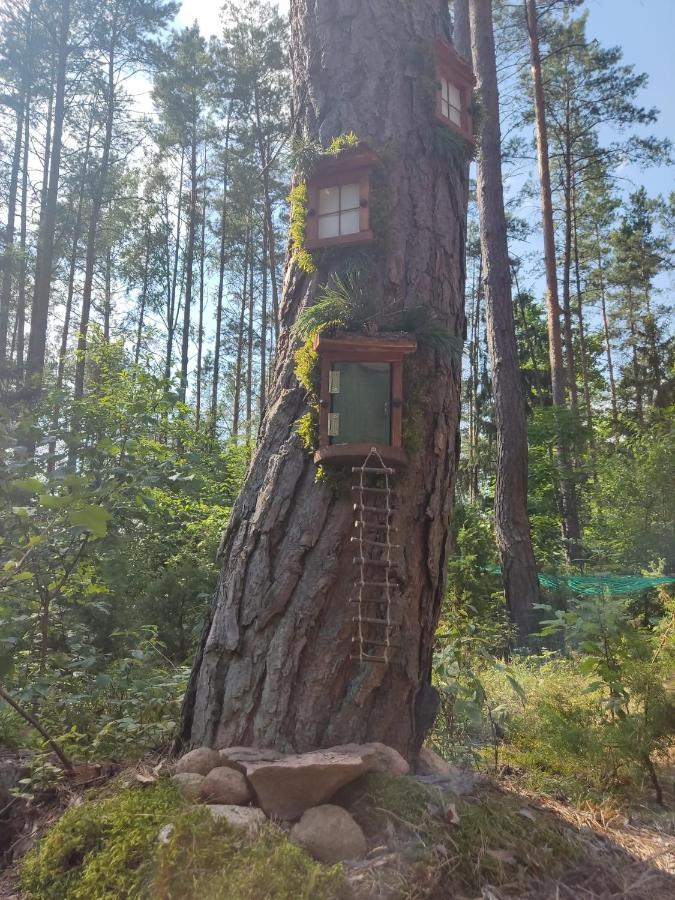 domki przy lipowej Luka Zewnętrze zdjęcie
